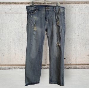 EUC Color Swatch Distressed Blue Jeans Size 3X (Fits Like A 14-16)